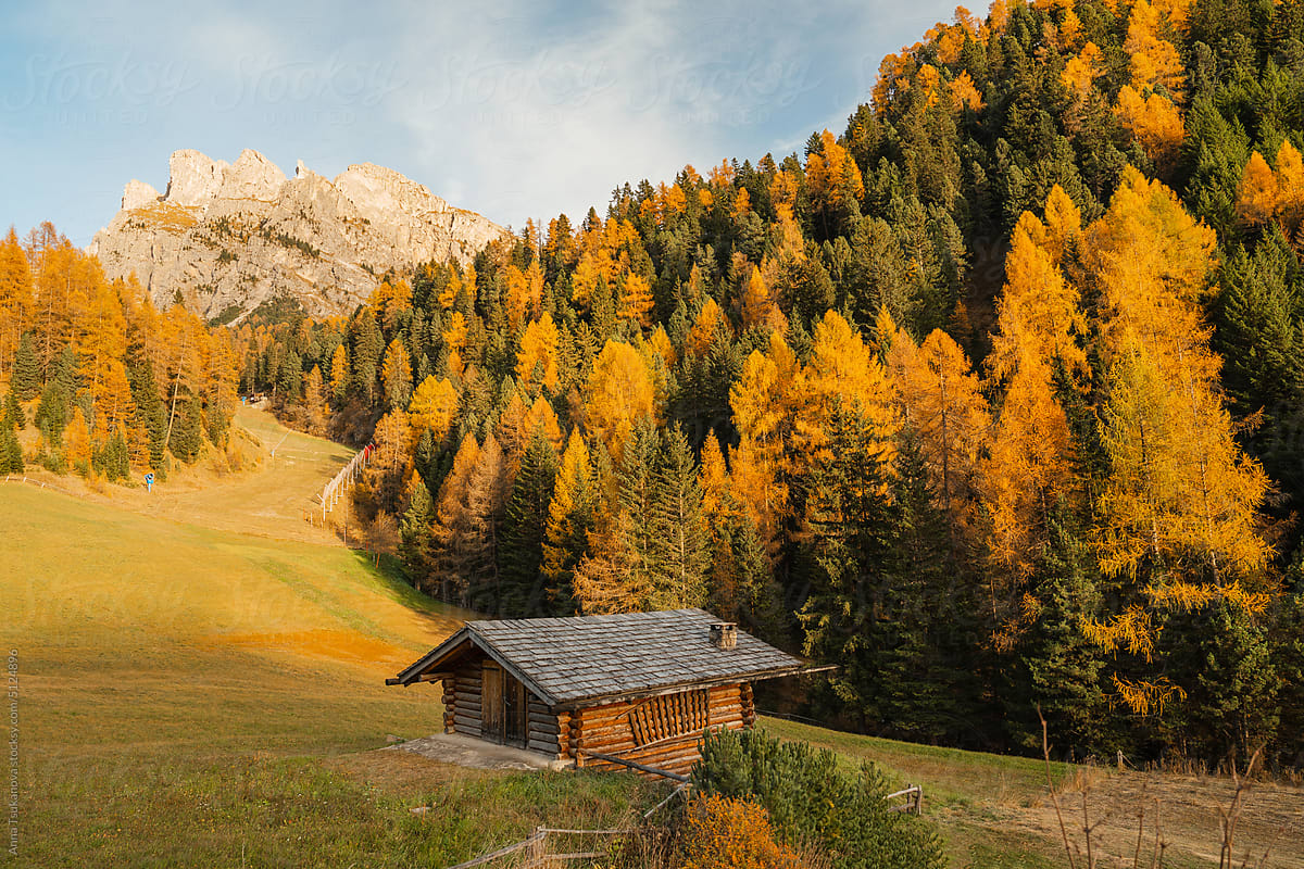 Scenic view of hut in forest in Dolomites mountains in autumn