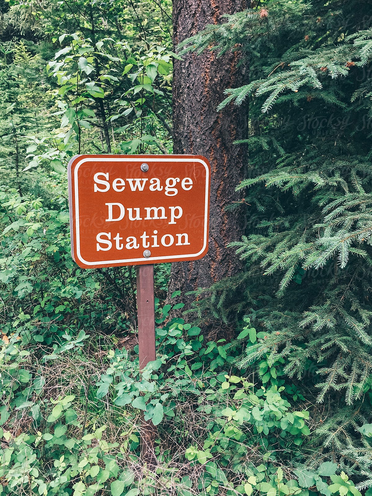 Sewage Dump Station sign in the middle of the woods
