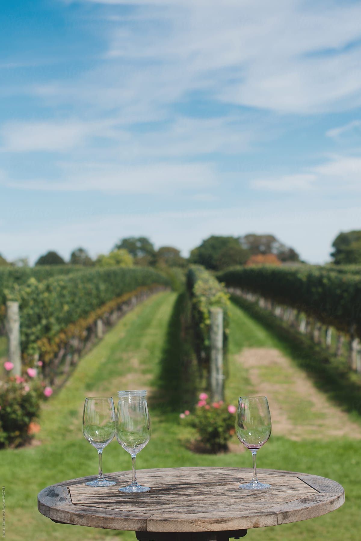 Wine glasses at vineyard