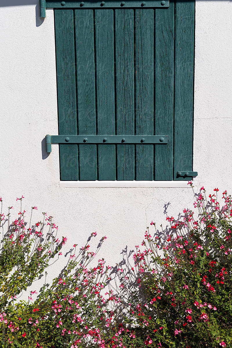 French window with flowers