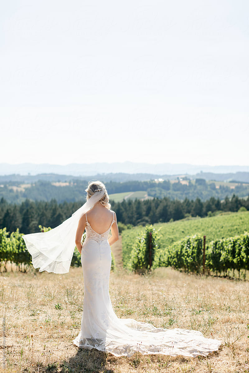 Bride Standing Looking out at Vineyard