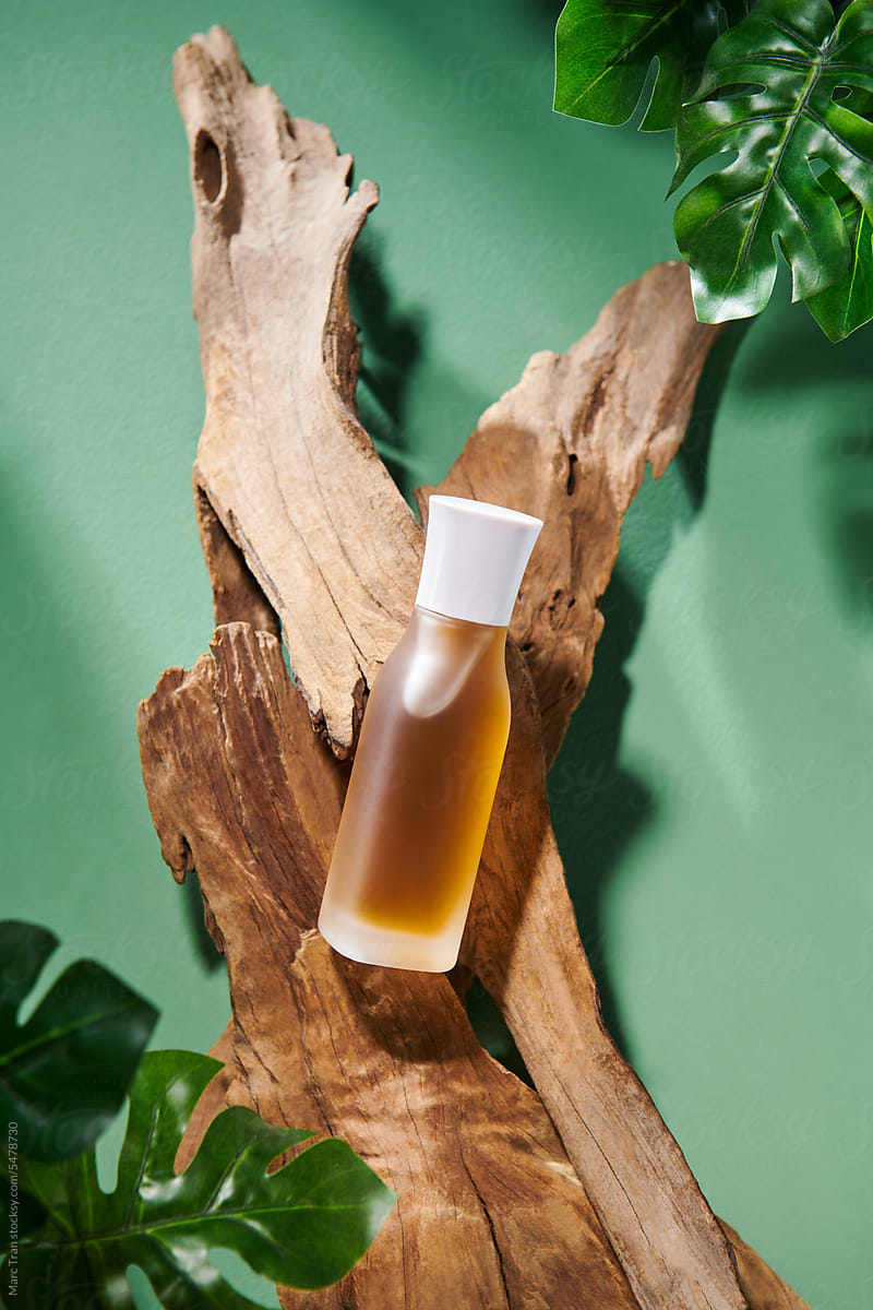 Cosmetic product with transparent bottle on a wooden branch and leaves