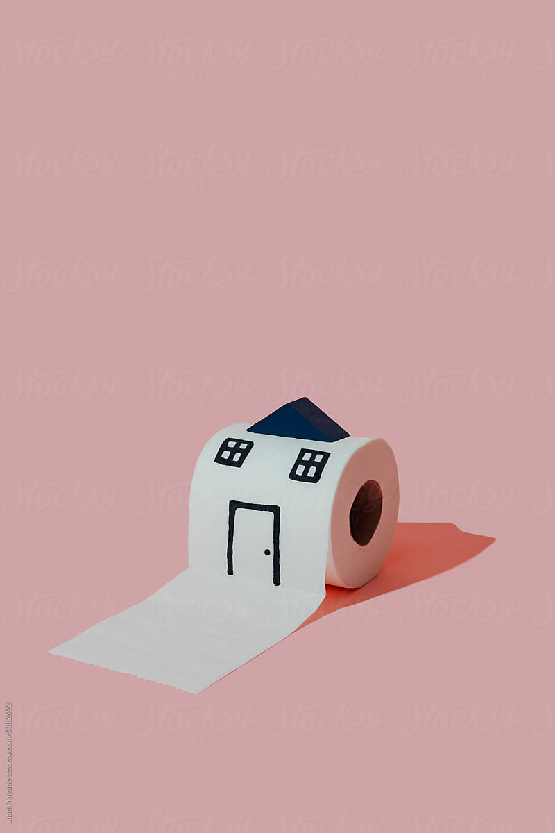 toilet paper roll as a house