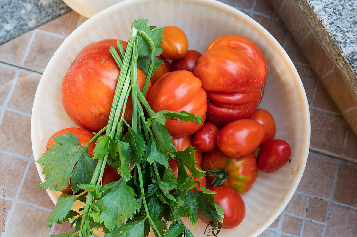 Fresh tomatoes and vegetables