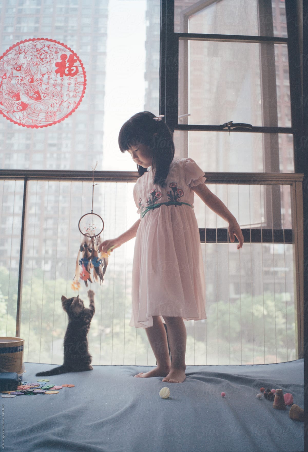 pretty girl standing on blue bed playing with small cat