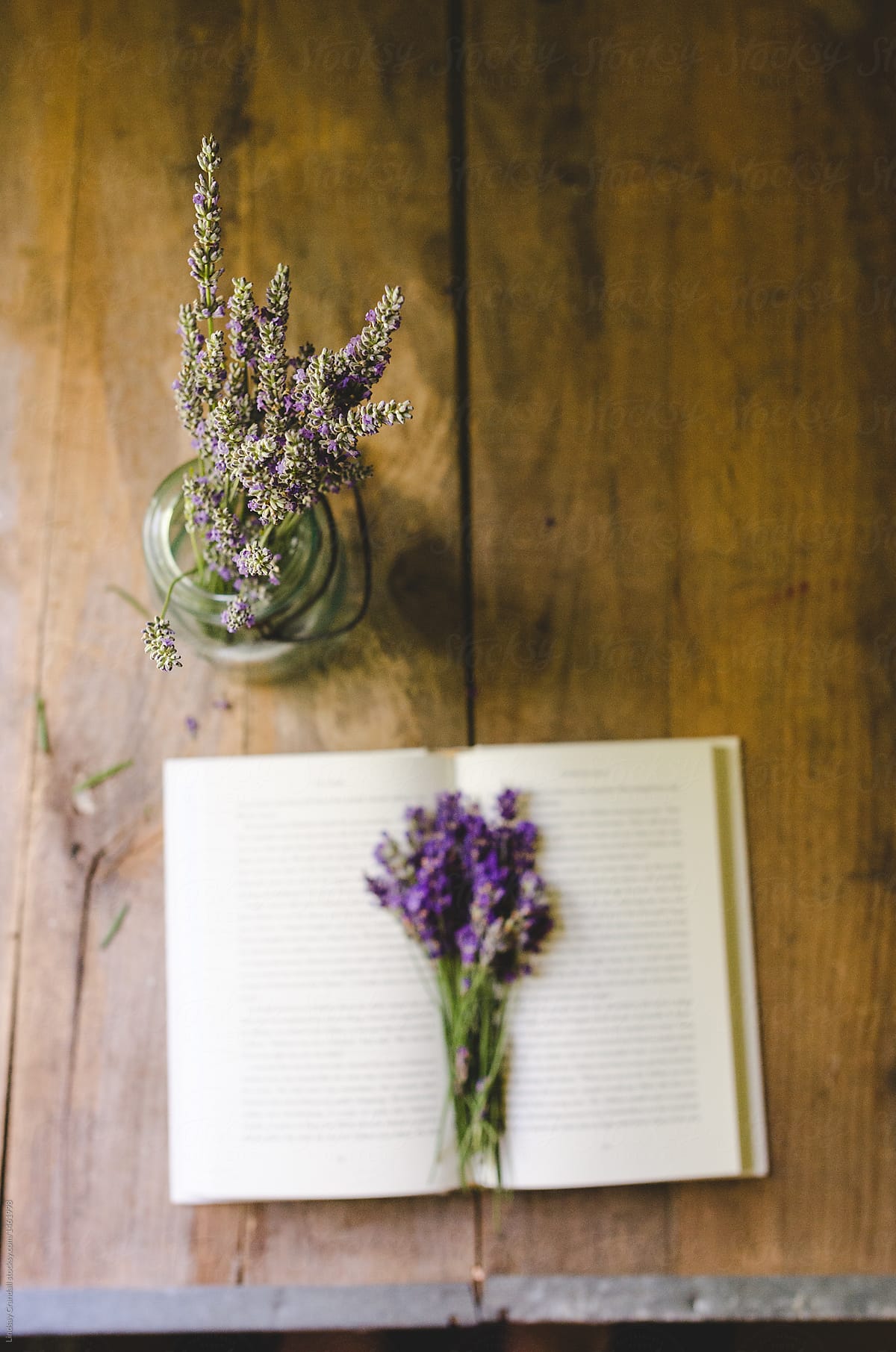 Still life with open book and fresh lavender