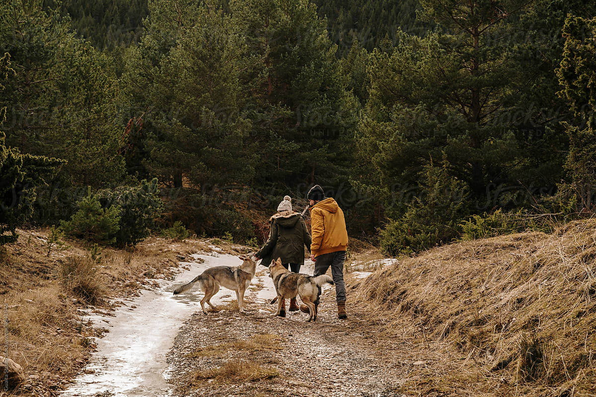 Couple with wolf dogs walking on a forest path