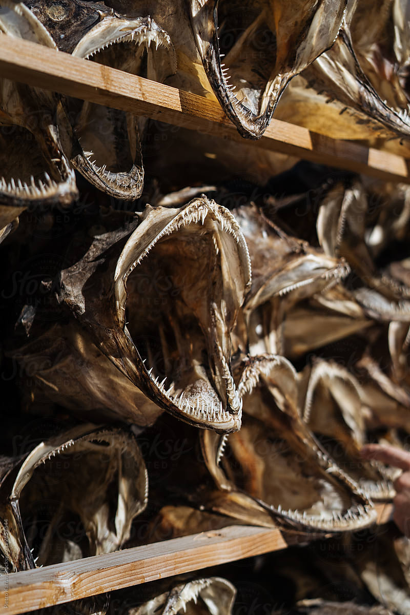 Dried fish with open mouth