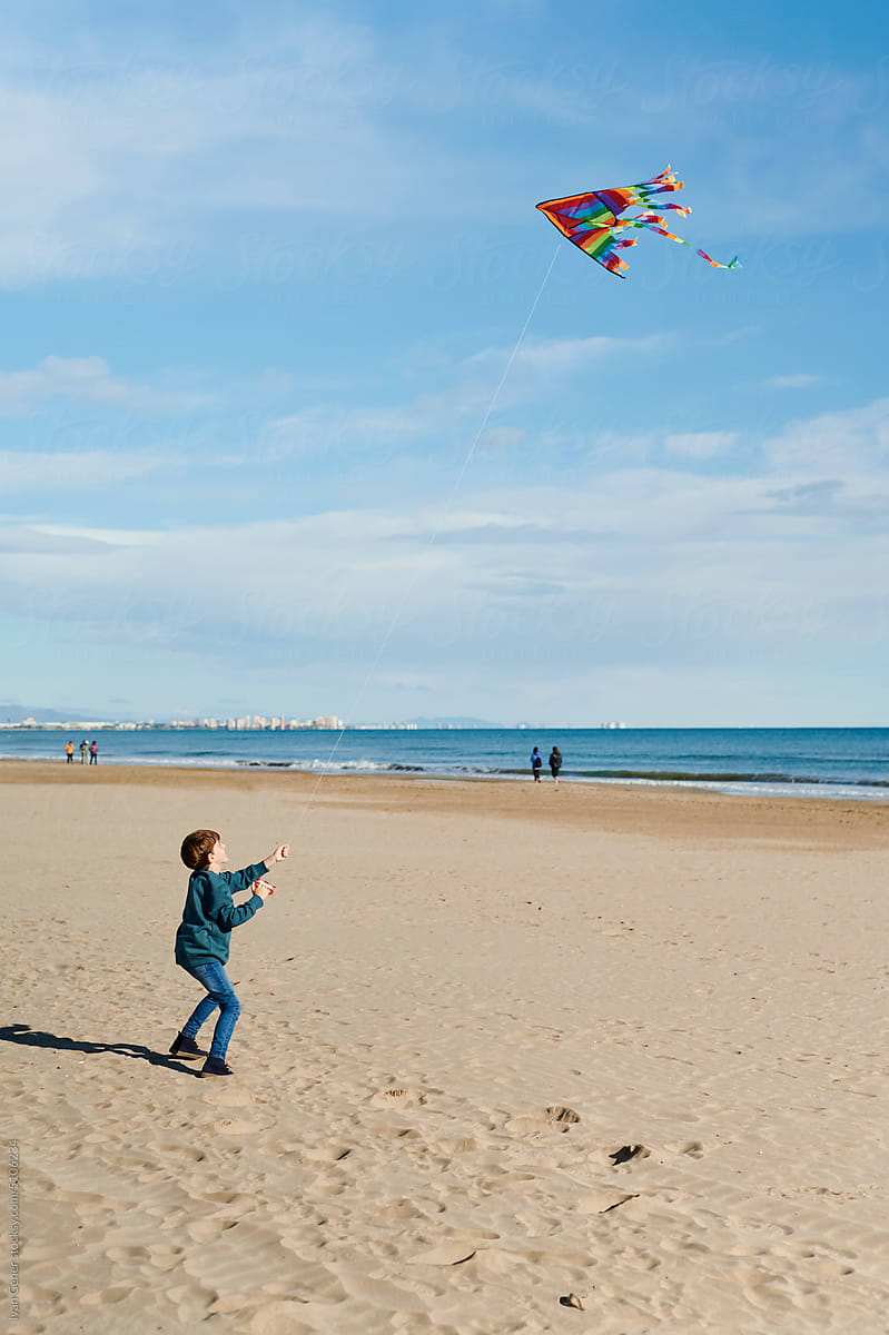 Boy flying a kite on a beach