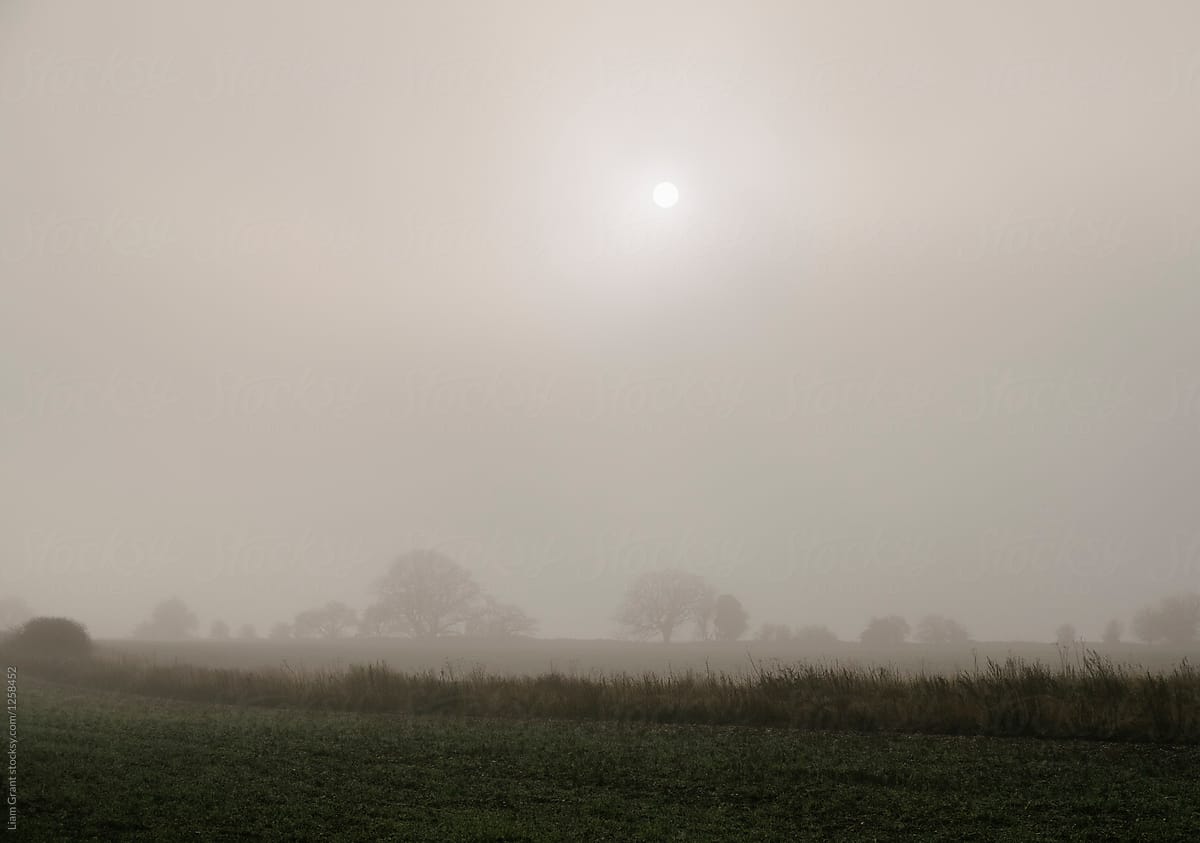 Sun burning through fog over farmland. Norfolk, UK.