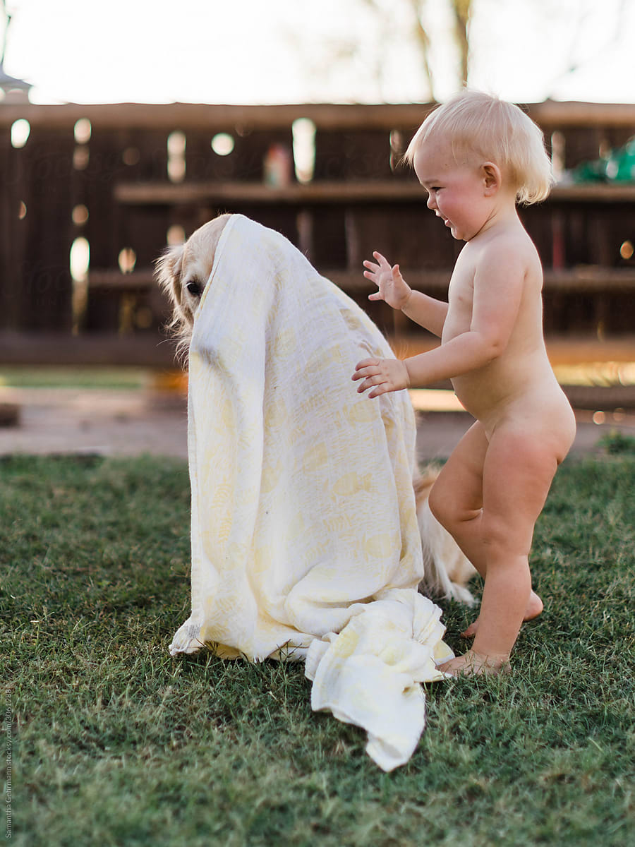 toddlers throws muslin over dog