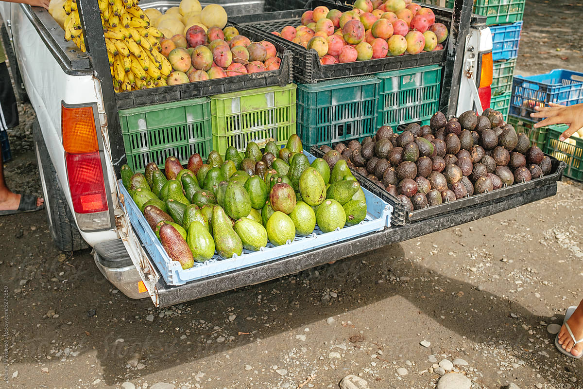 Caribbean Fruit Vendor