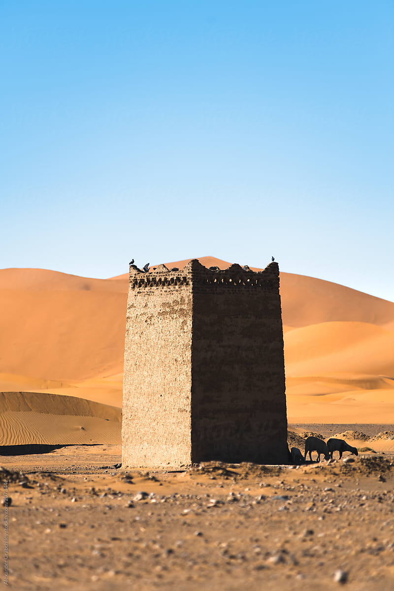 traditional building of Sahara desert