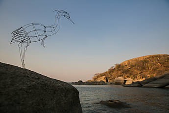 Wire Fish Sculptures At Sunset by Stocksy Contributor Diane  Durongpisitkul - Stocksy