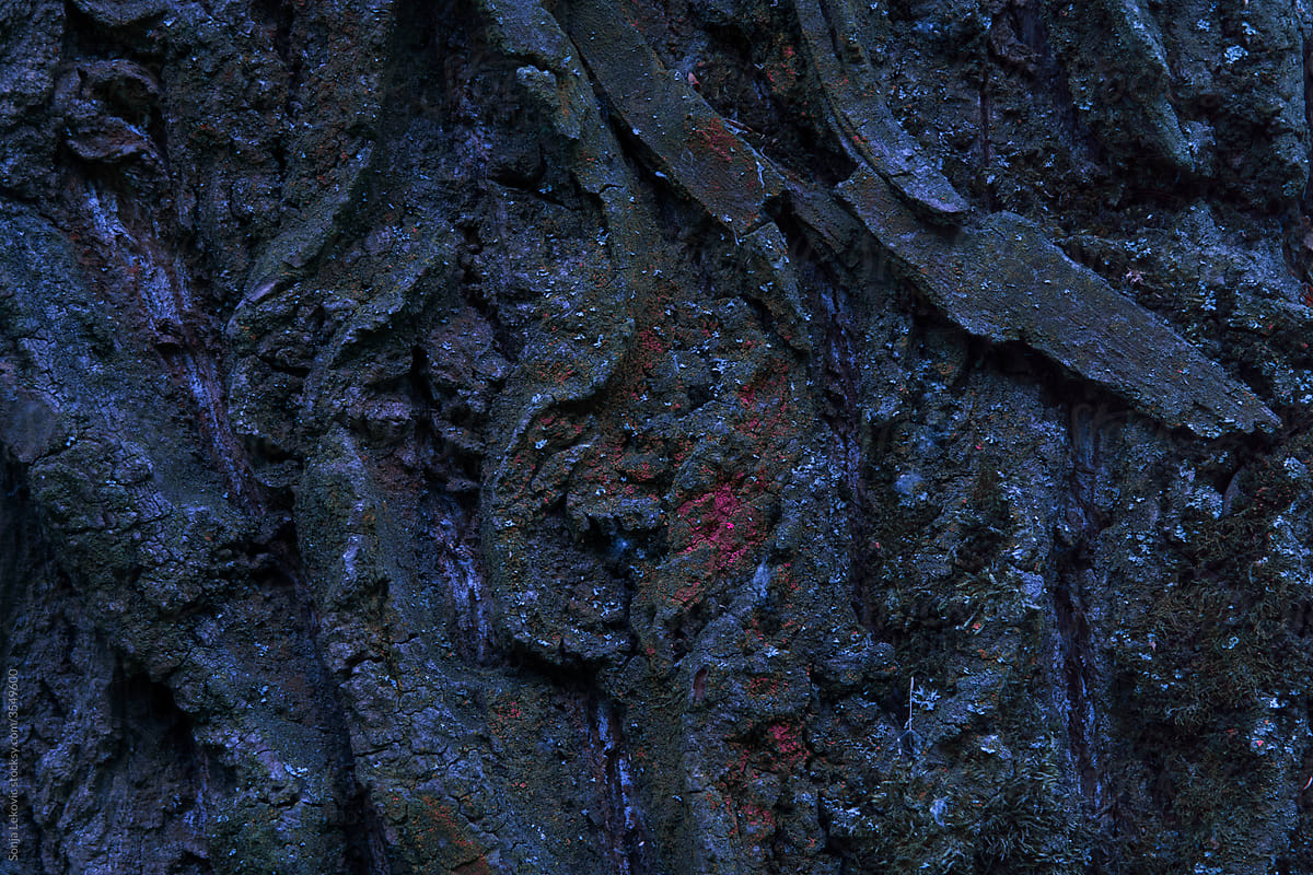dark wood texture closeup background