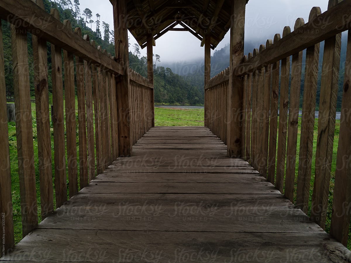 Wooden bridge to the forest