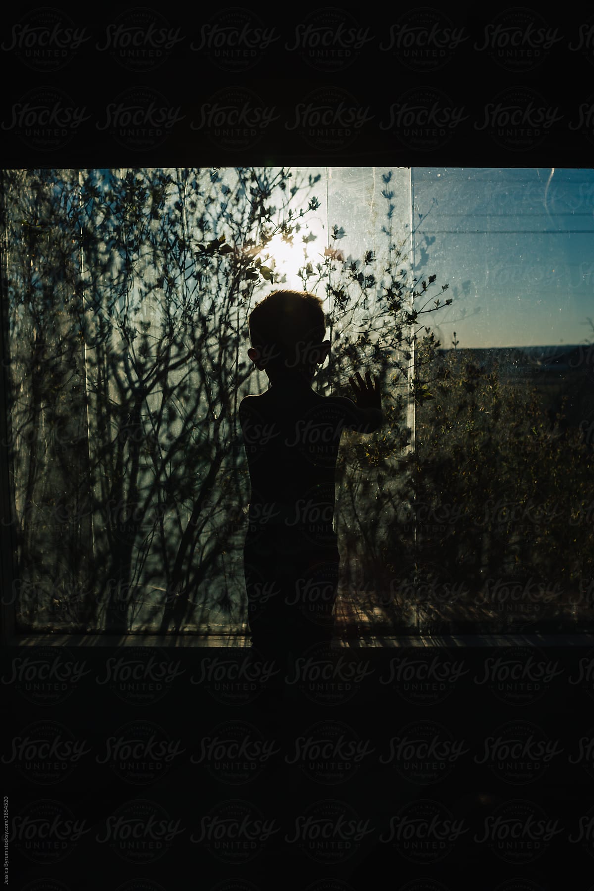 Toddler boy in window with tree limbs casting dark shadows and making a silhouette.