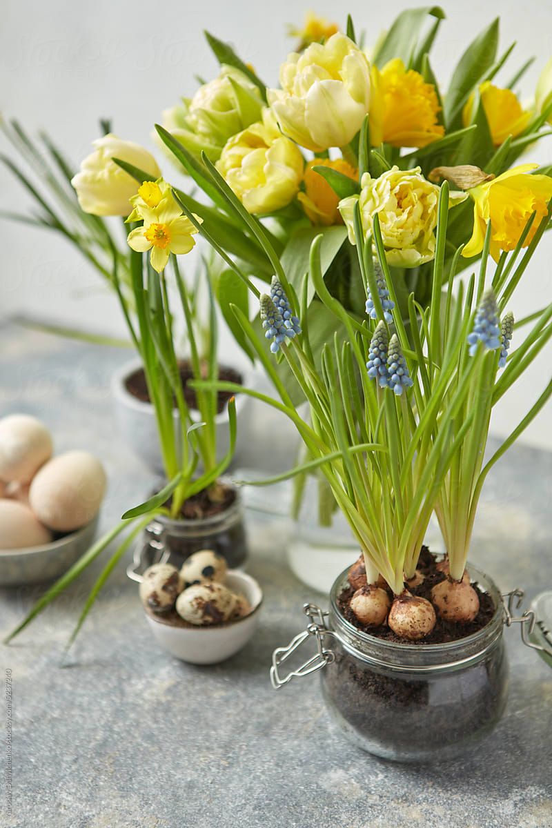Potted flowers with quail and wooden Easter eggs.