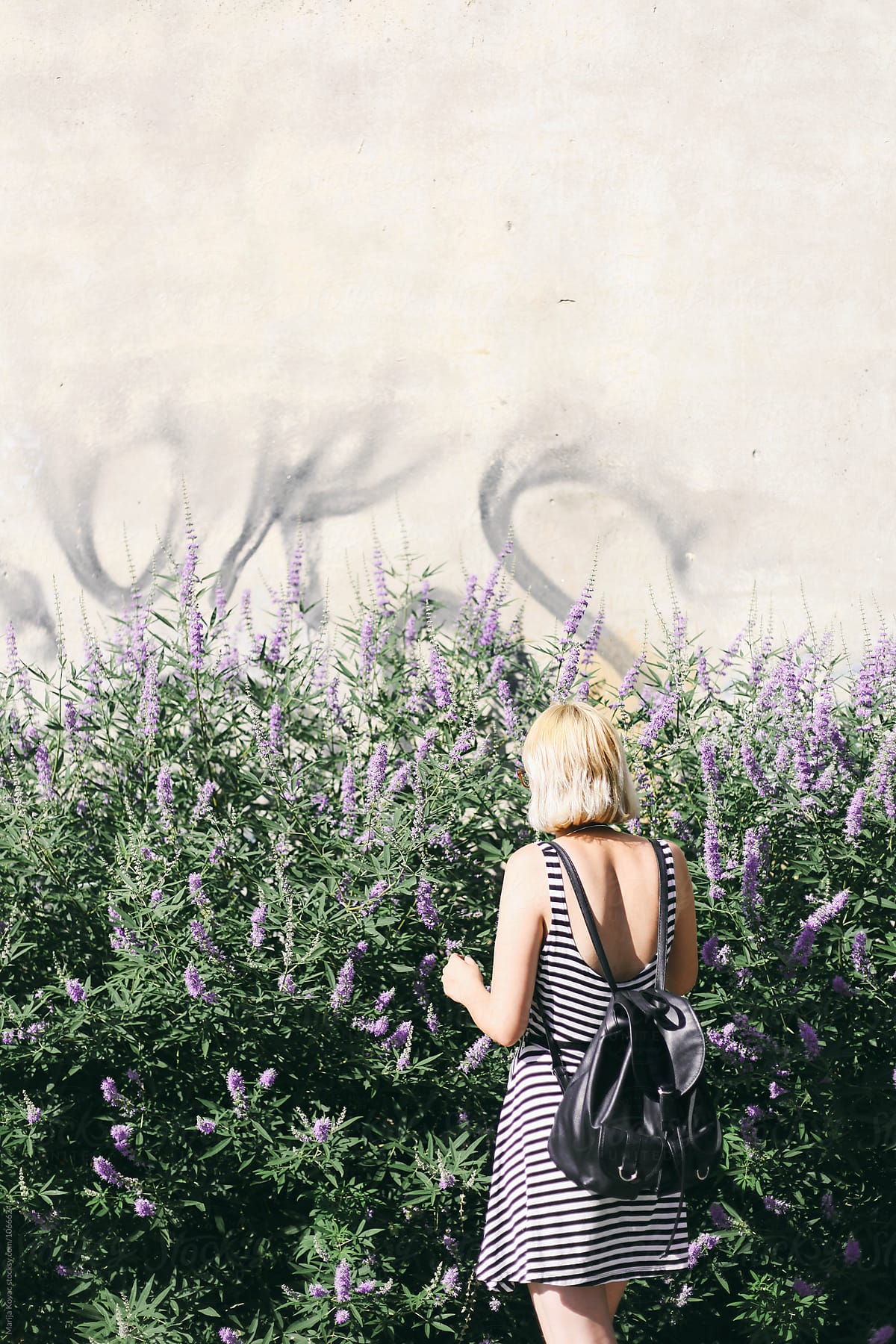 Blonde woman from behind, next to the purple flowers