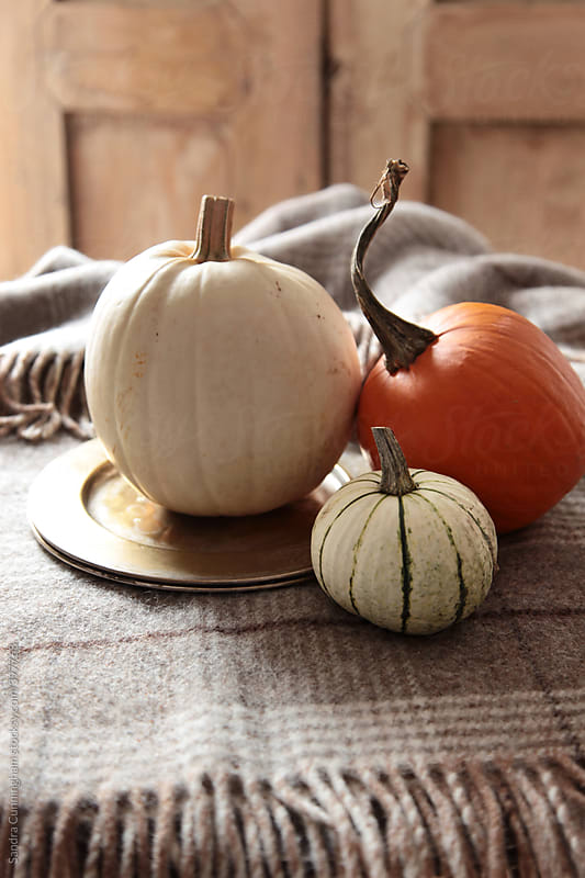 Pumpkin and gourds on the kitchen table by Sandra Cunningham ...