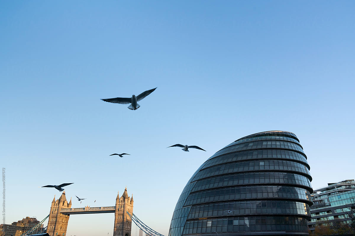 Birds Flying In Front Of London Architecture