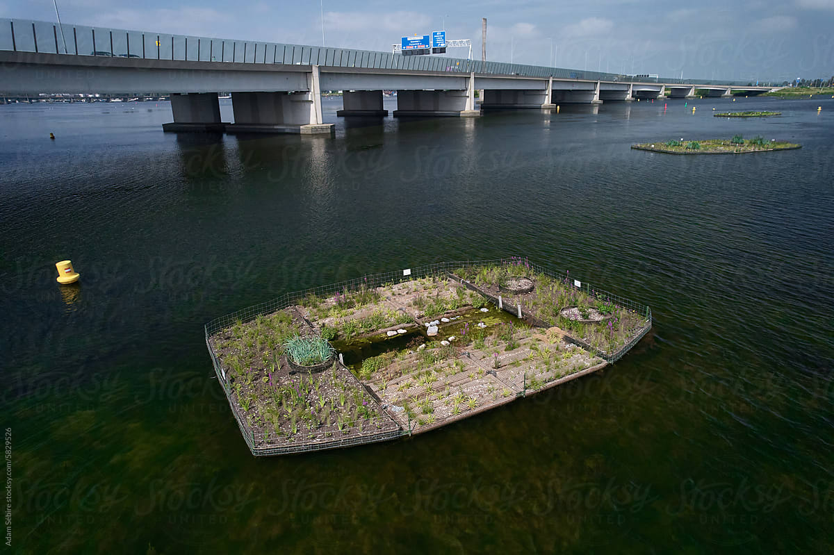 Artificial floating island for nature conservation & refuge, Amsterdam