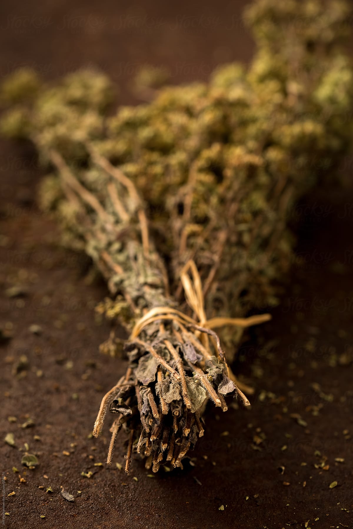 Dried Oregano Cluster in Closeup View From Bottom