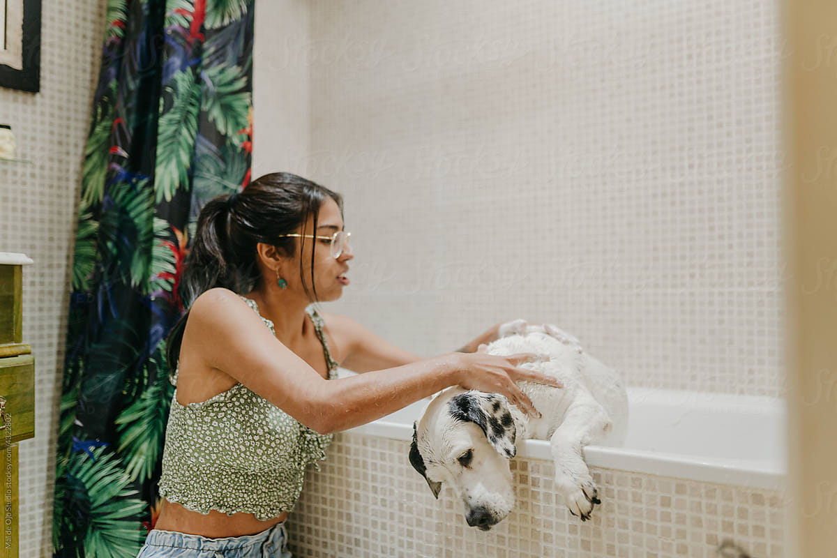 Dog scaping bathtub
