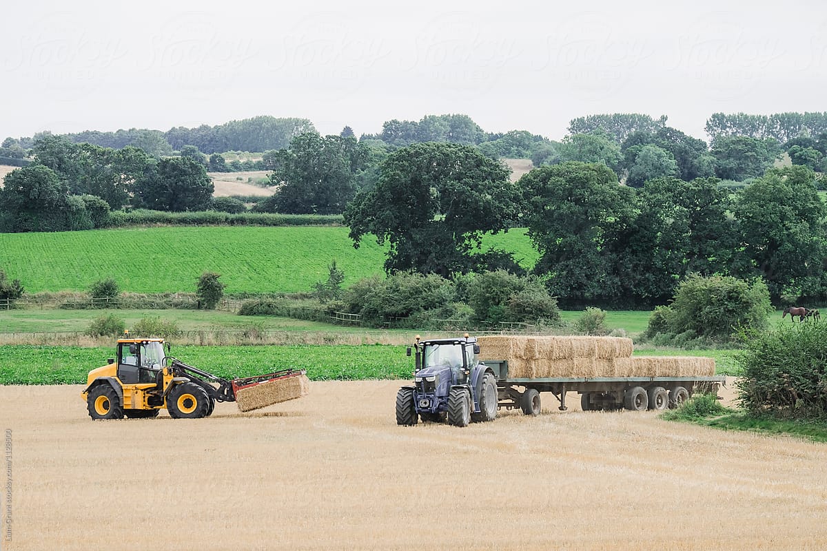 Wheel loader collecting straw bales and loading them onto a trac