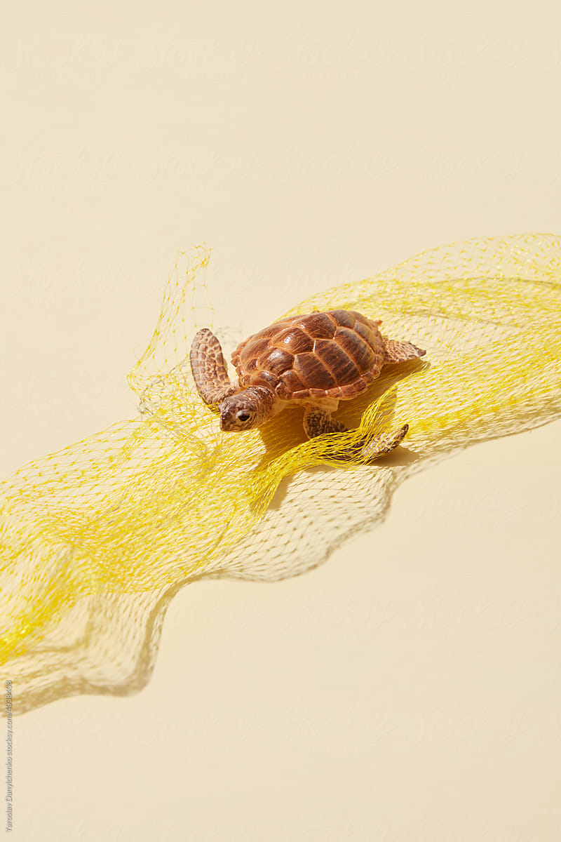 Turtle in yellow plastic net