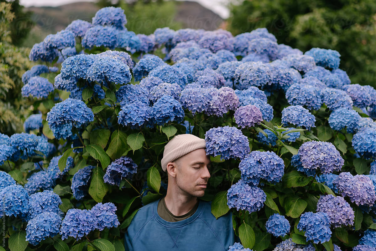 Young man with hydrangea flowers