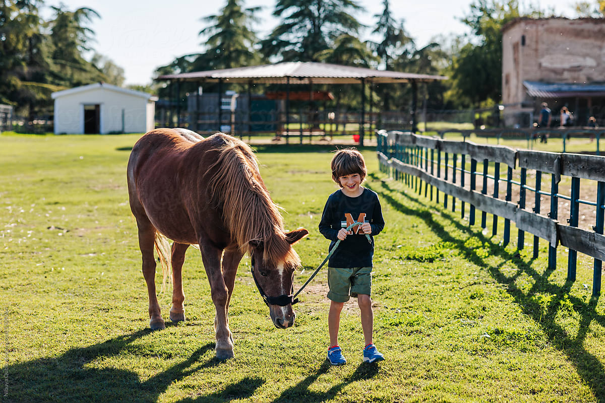 Smiling boy with adhd walking his therapy horse at sunset