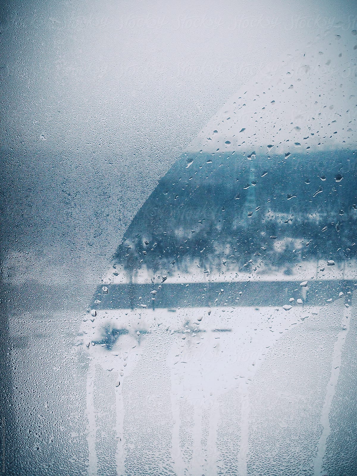 Foggy Window By Winter