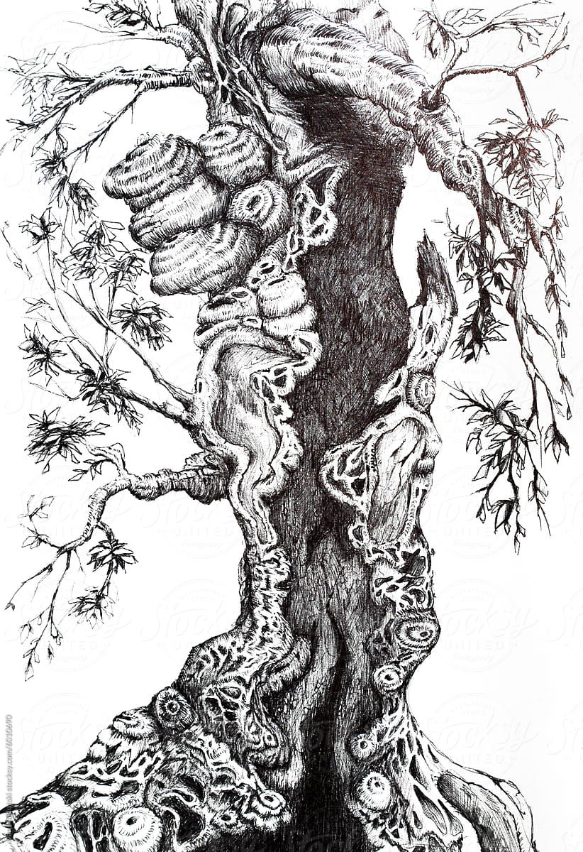 Ink illustration of a mysterious tree, pen drawing