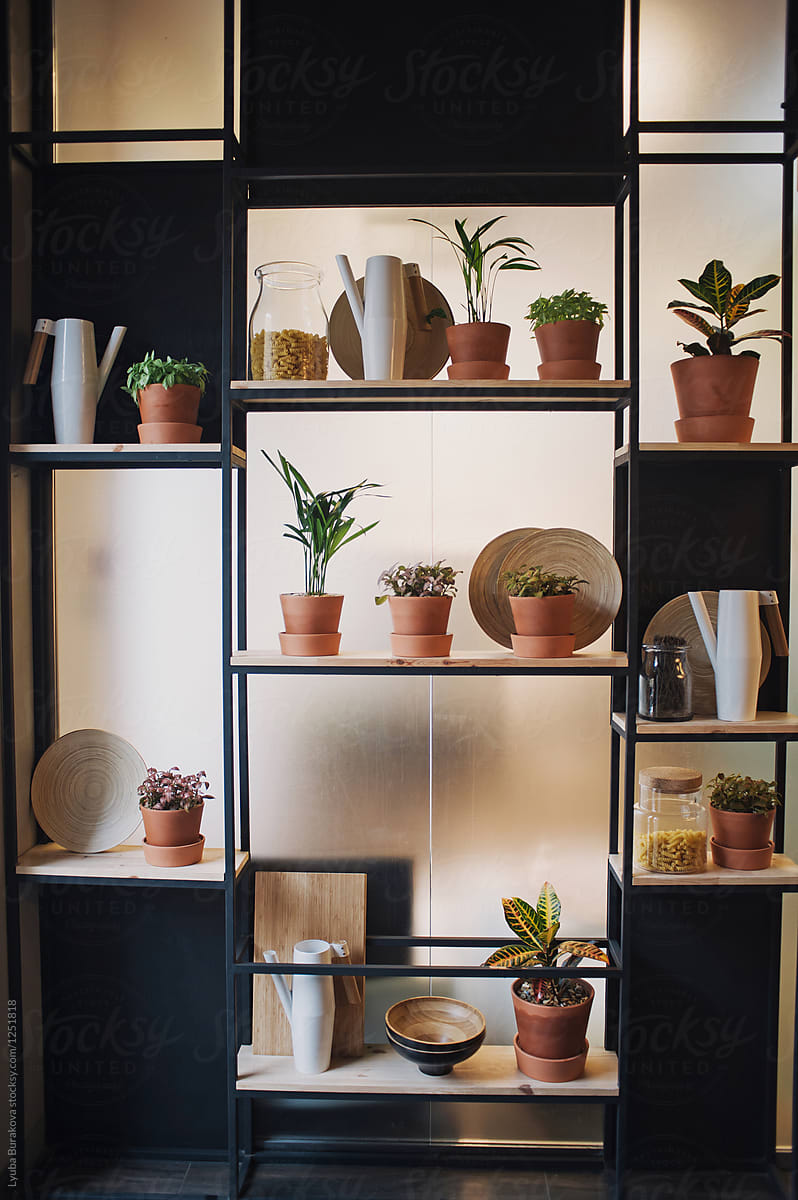 Shelfs with plants