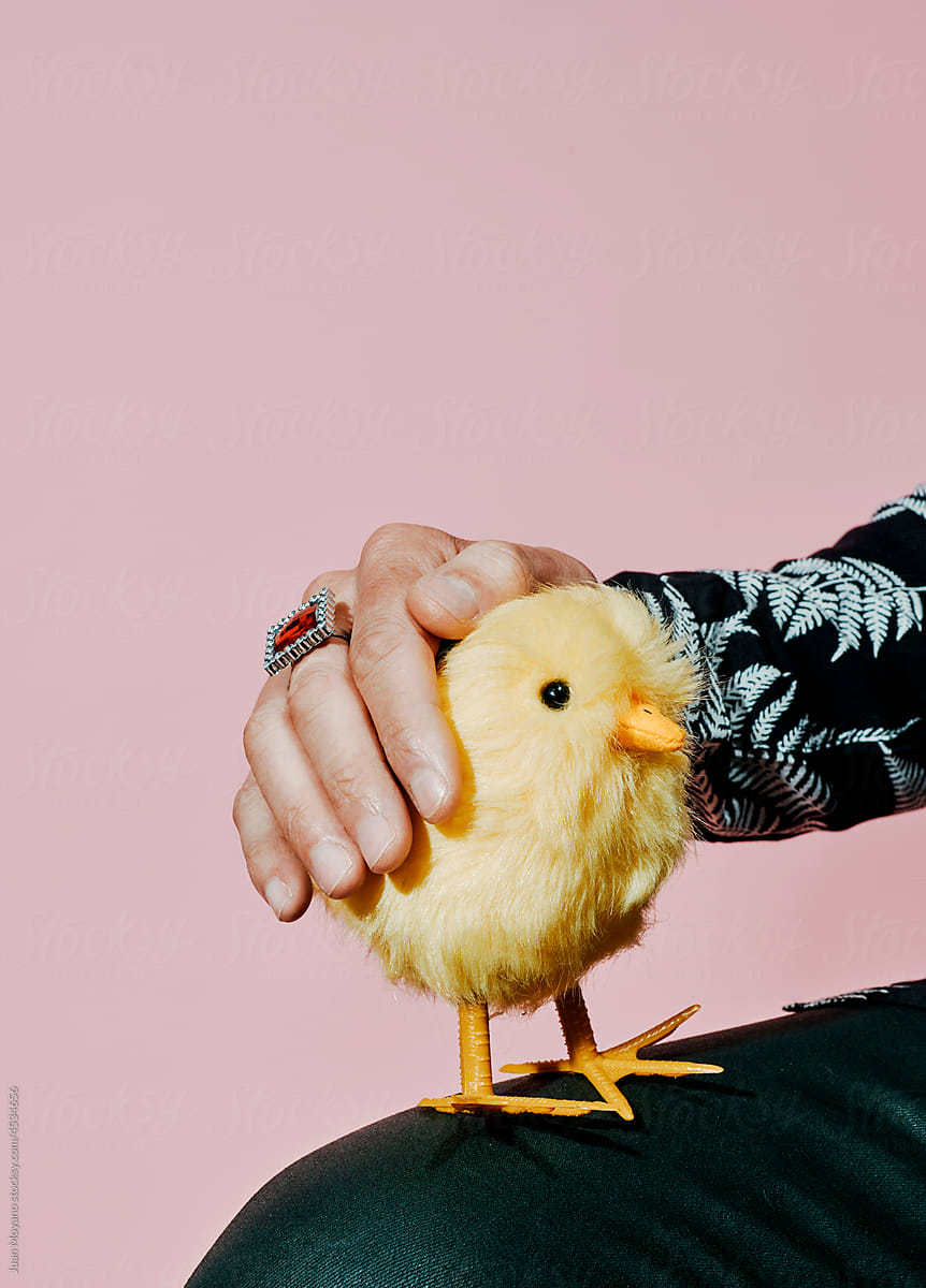 is petting a yellow toy chick