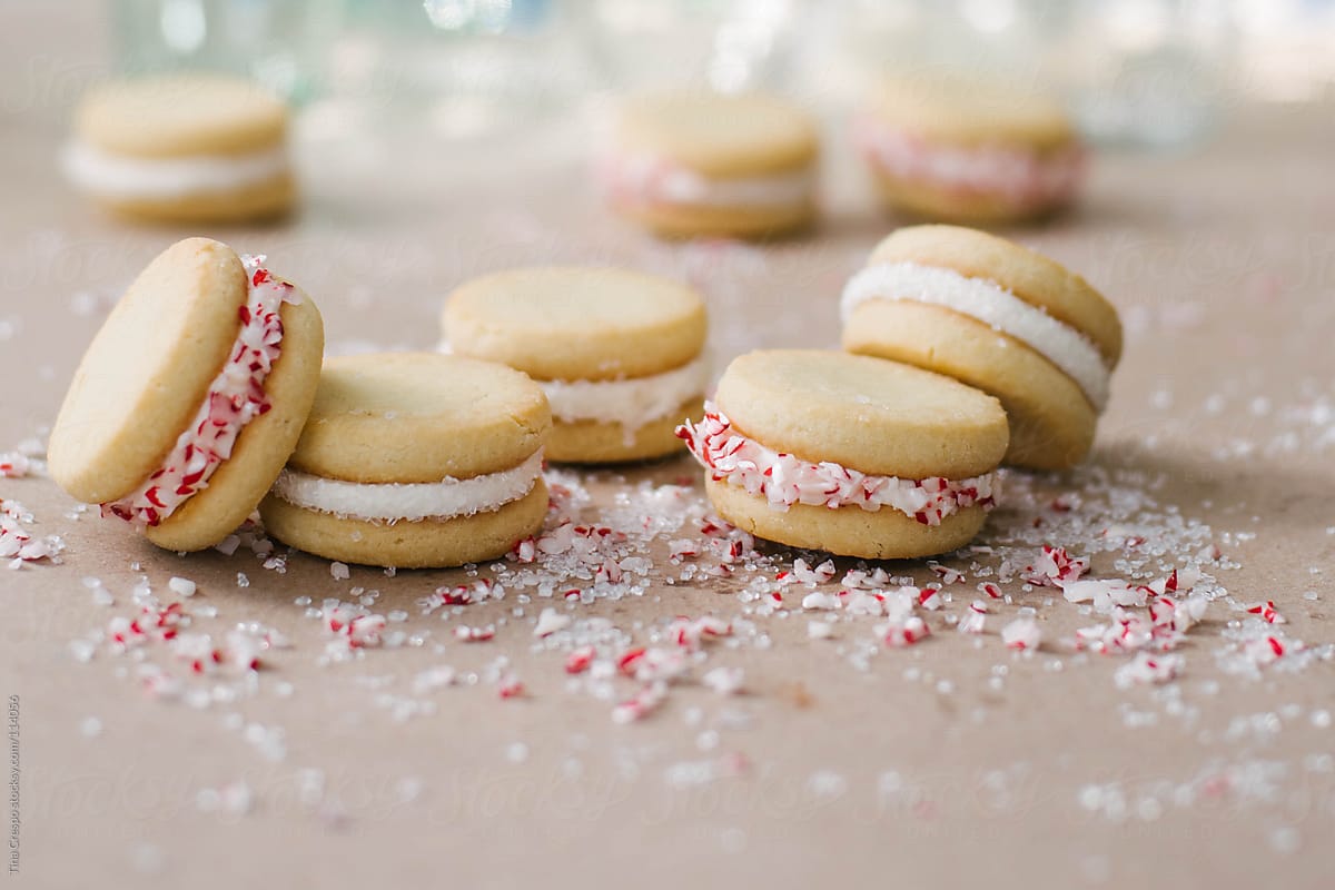 Holiday Cookies with Sprinkles