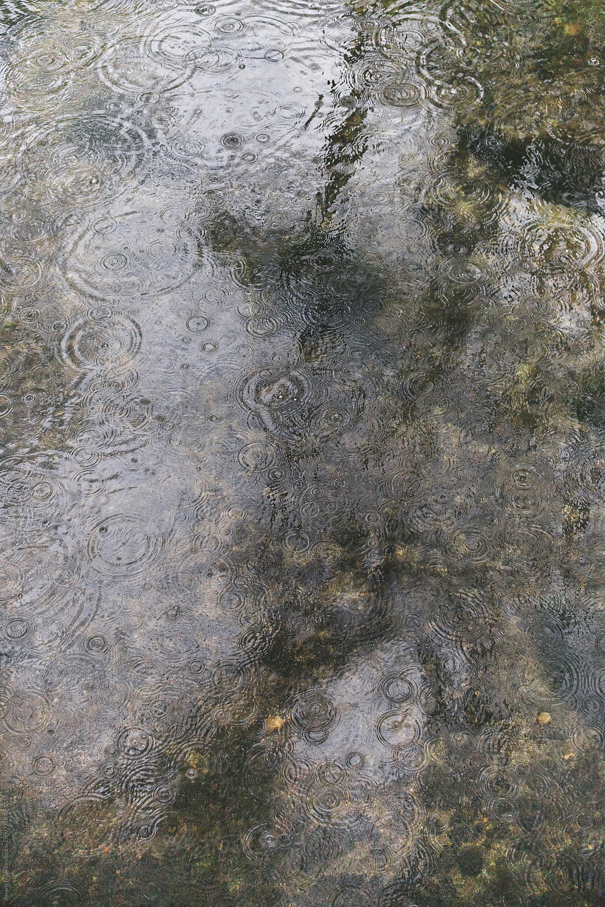 Raindrops Falling on the Puddle Water Surface