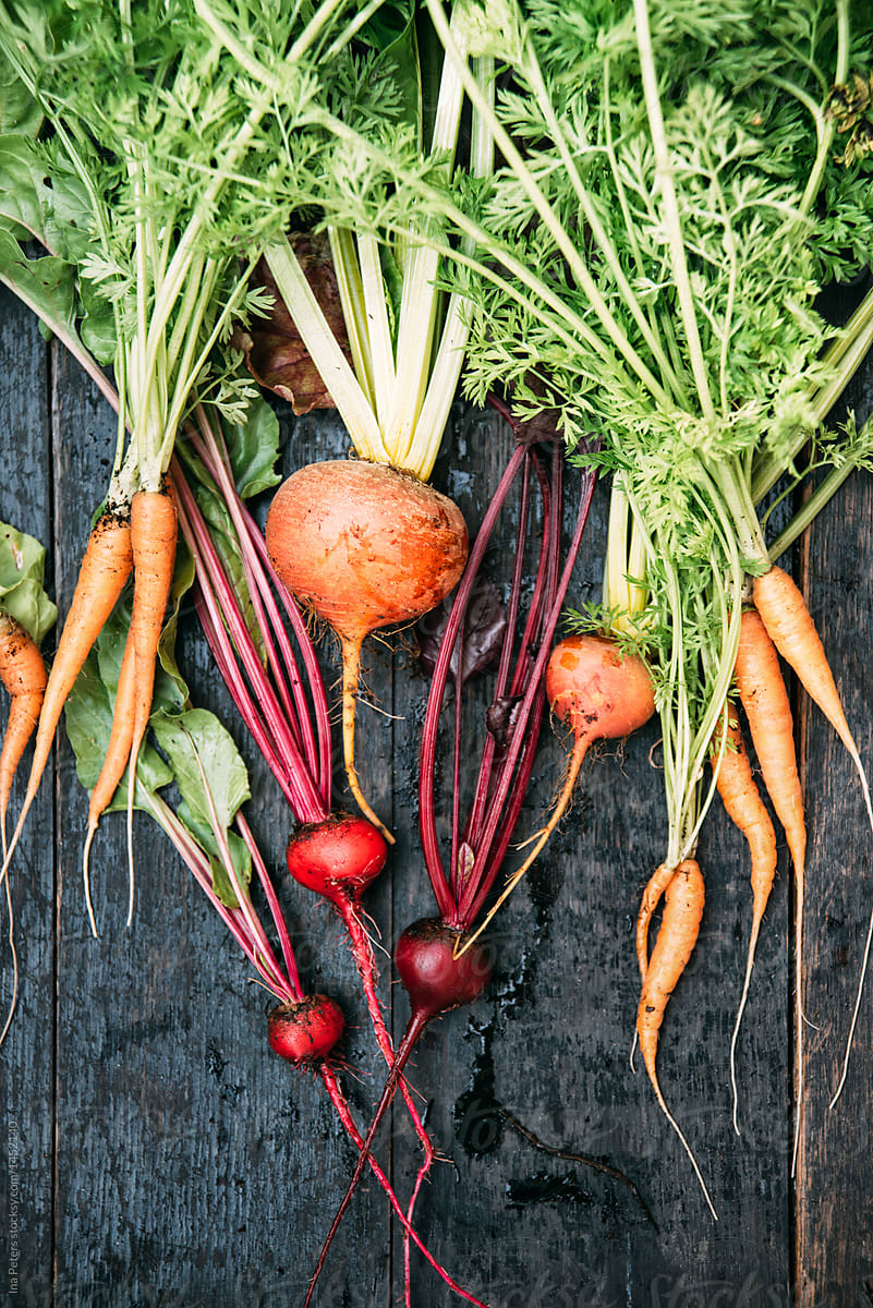 Food: different sorts of root vegetables, beetroot and carrot