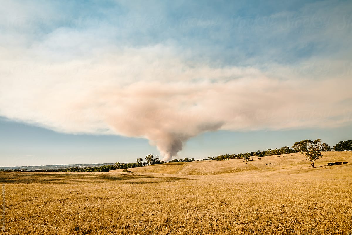 bushfire in the Adelaide Hills, Australia
