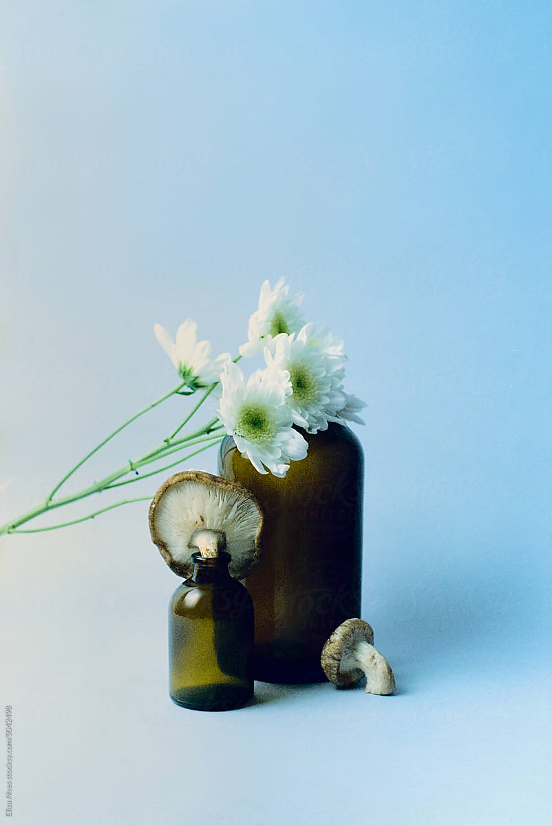 Still life with mushrooms, glass and flowers