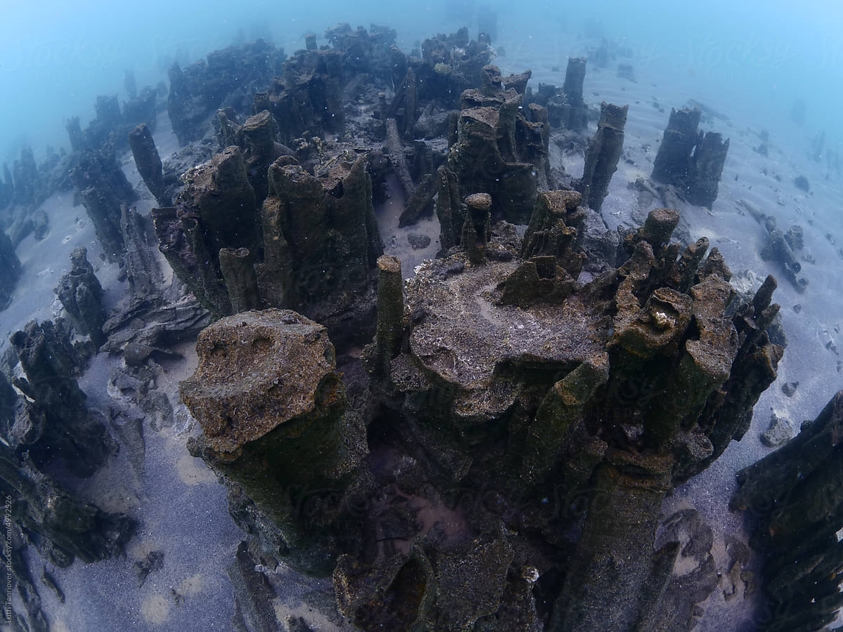 microbialites underwater lake looks like city with towers