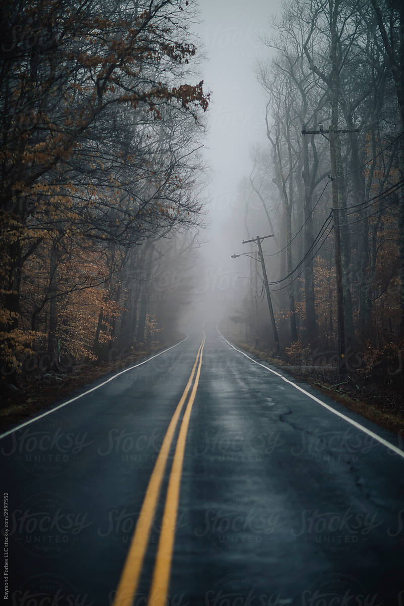 Rural Road with Moody Fog
