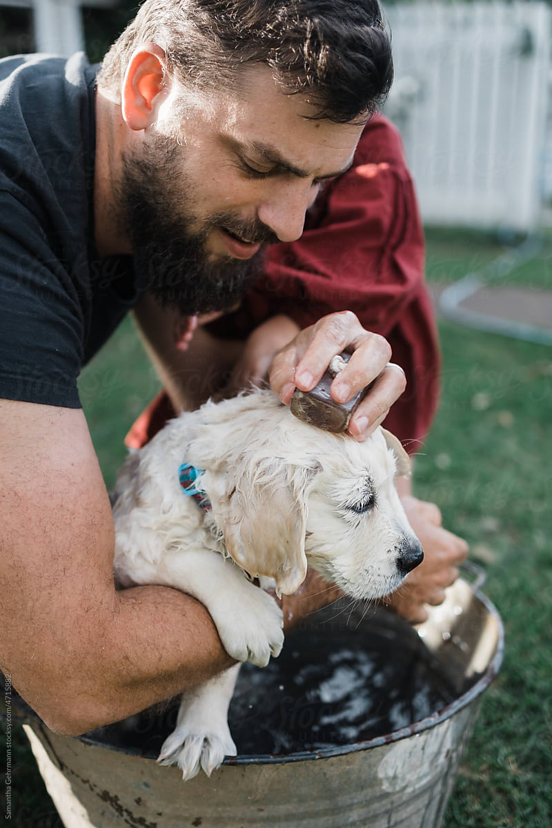 golden retriever puppy being bathed