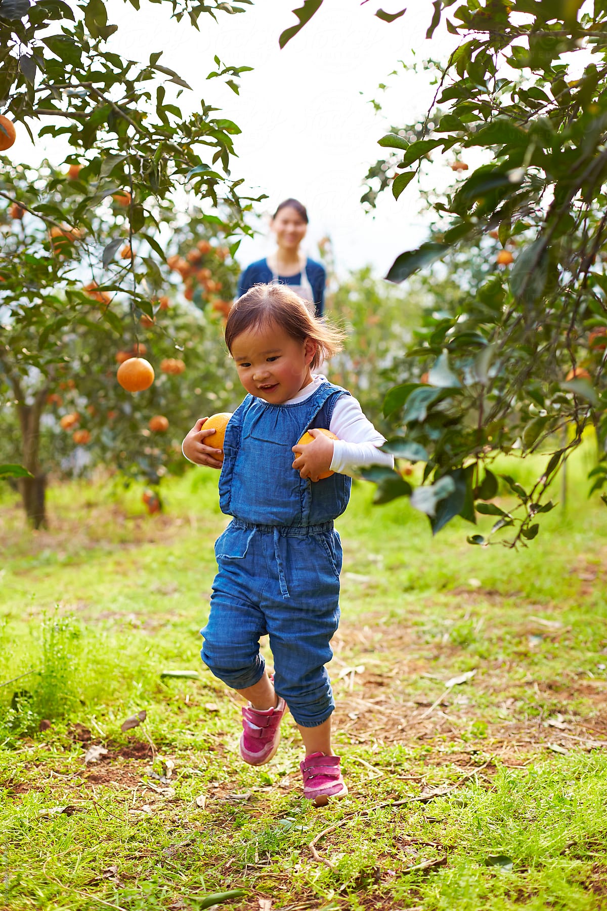 little asian girl with her mother in the orange farm