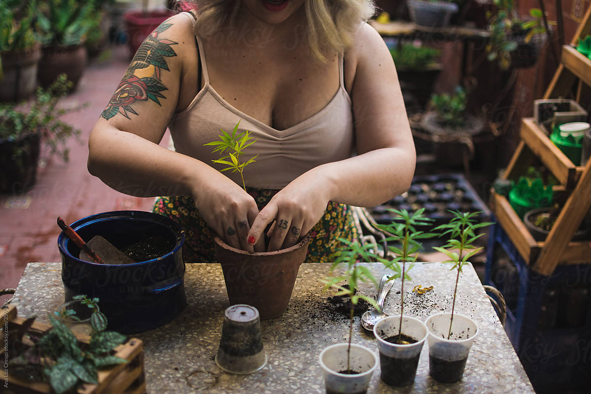 Woman growing cannabis at home