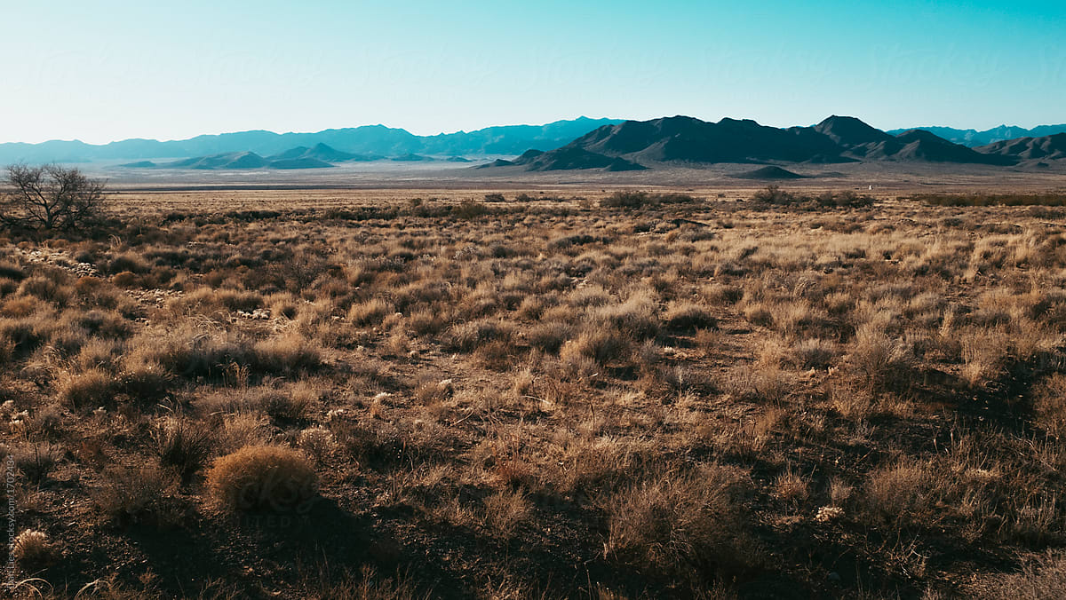Desolate Arizona Desert Landscape By, Arizona Desert Landscape