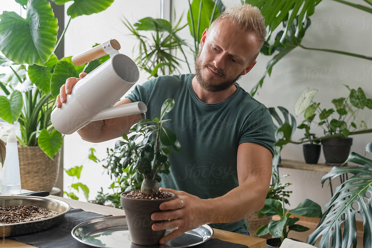Man Giving Water to a Plant