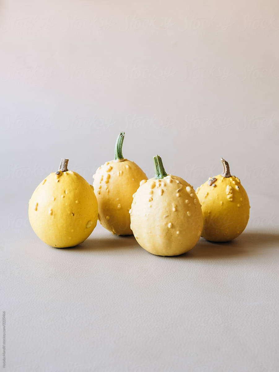 "Yellow Pumpkins" by Stocksy Contributor "Nataša Mandić" - Stocksy