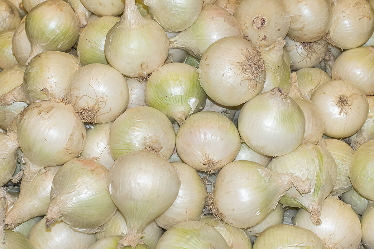 Onion Produce